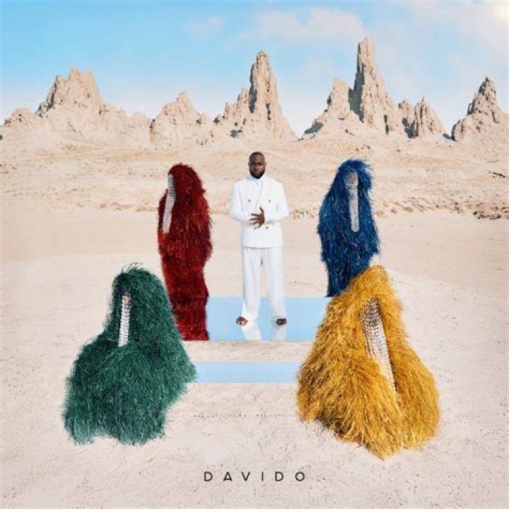 
Afrobeats Superstar Davido Dazzles In A New Image 