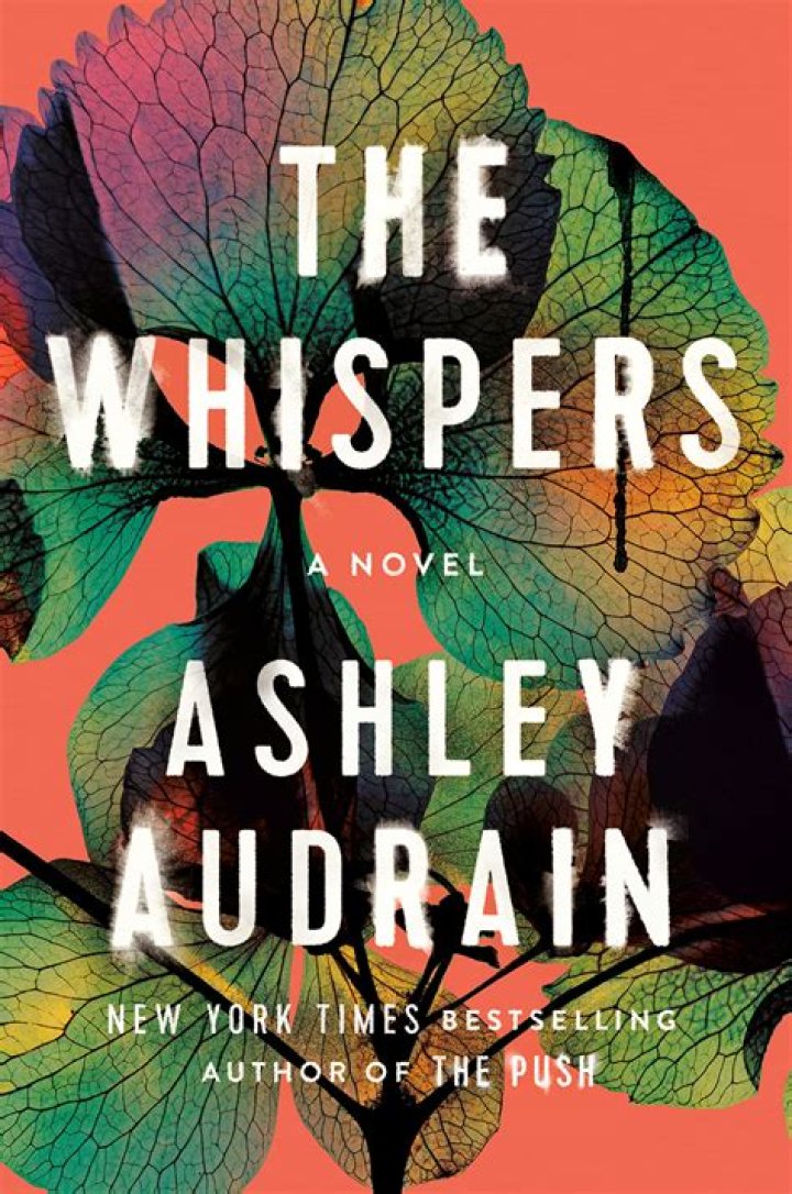 
Alfredo Rivera Height, Weight, Net Worth, Age, Birthday, Wikipedia, Who, Nationality, Biography 