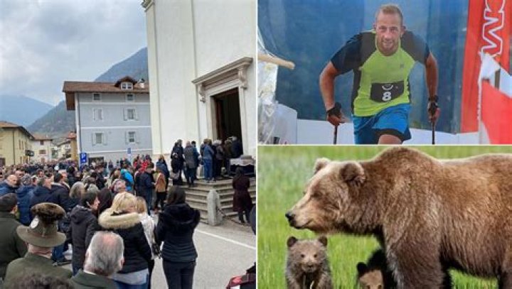 
Andrea Papi Incidente: Runner Morto Bear Attack 