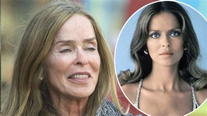 Barbara Bach Height, Weight, Net Worth, Age, Birthday, Wikipedia, Who, Nationality, Biography