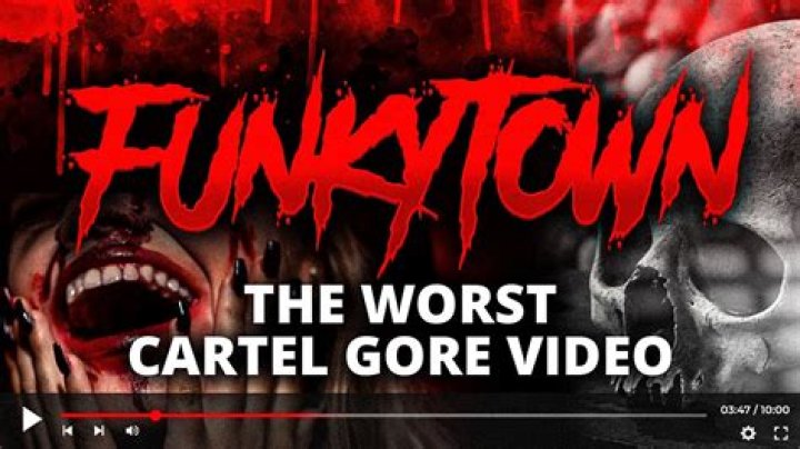 Funky Town Cartel Gore Video Explained, 3 Men 1 Hammer On Reddit