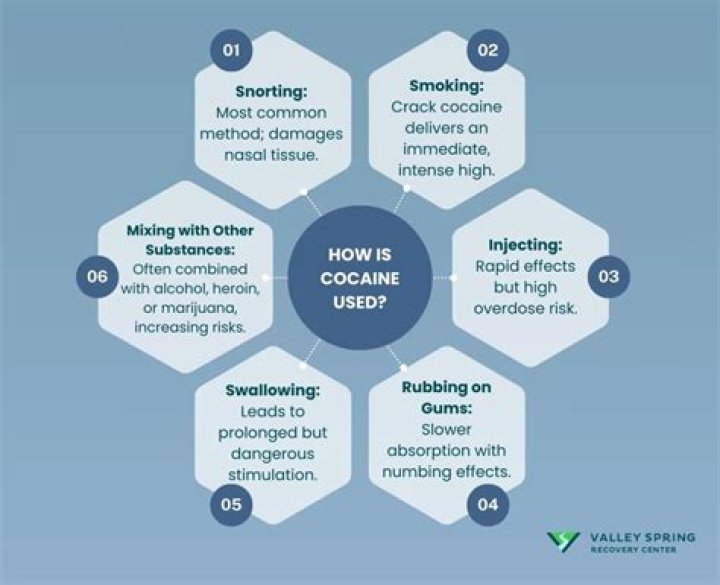 
Is Vincent Shogun In Prison For Drugs Use? Cocaine Controversy And Details 