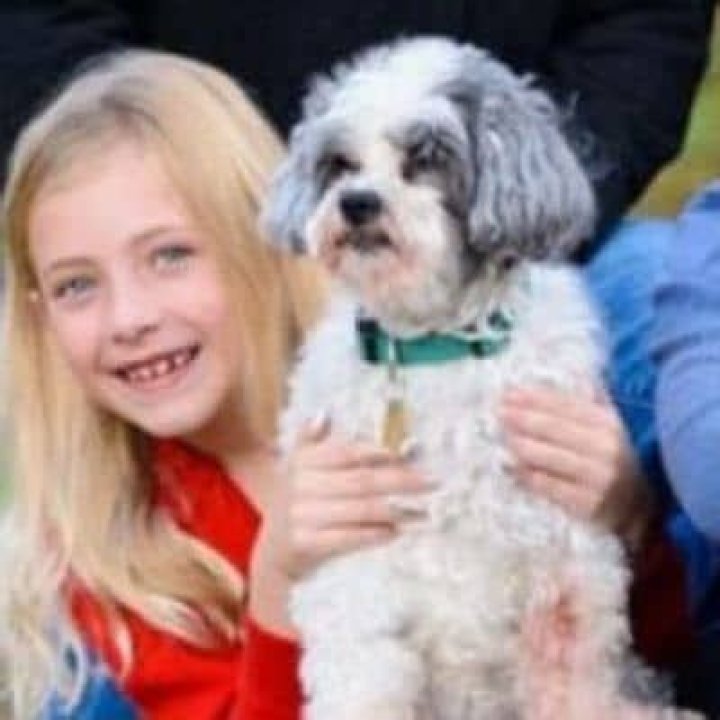 
Kinsley Stevens Height, Weight, Net Worth, Age, Birthday, Wikipedia, Who, Nationality, Biography 