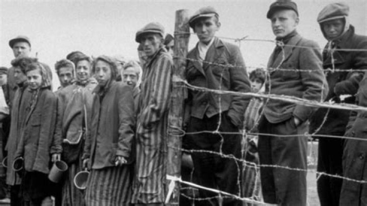 Montana Tucker Started The Series About The Holocaust’s Effect On The Jewish Community