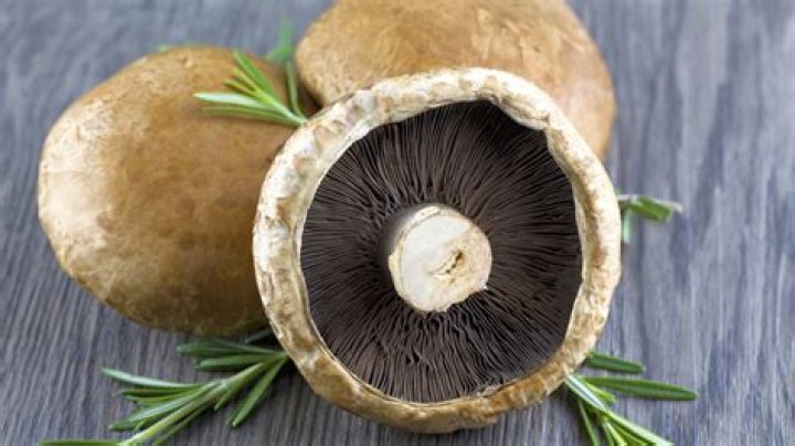 Portobello Mushrooms Controversy Explained: What Is It About?