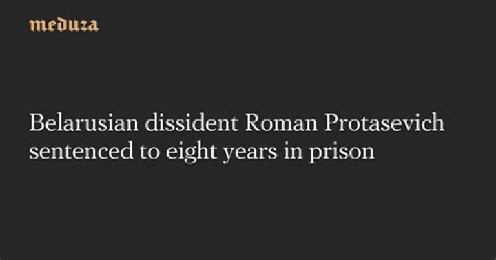 
Roman Protasevich Age, Birthday, Wikipedia, Who, Nationality, Biography 