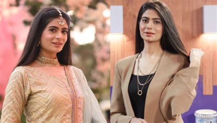 Shazil Khan Height, Weight, Net Worth, Age, Birthday, Wikipedia, Who, Instagram, Biography