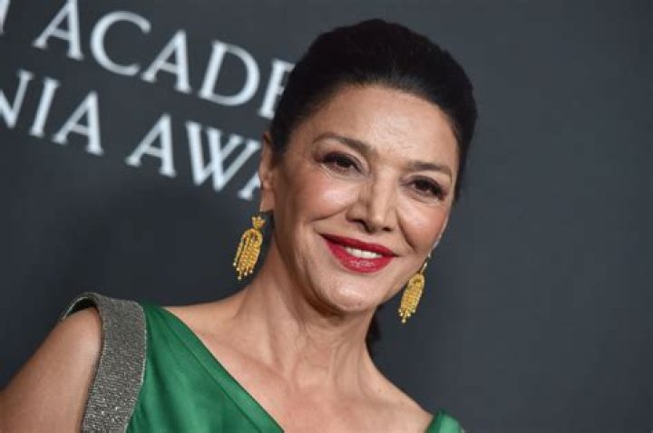 
Shohreh Aghdashloo Height, Weight, Net Worth, Age, Birthday, Wikipedia, Who, Nationality, Biography 