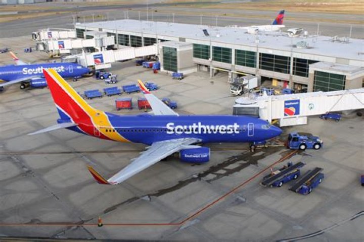 
Southwest Airlines flight made emergency landing in Cuba after striking a bird: Reports 