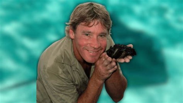 
Steve Goetz Obituary, What was Steve Goetz Cause of Death? 