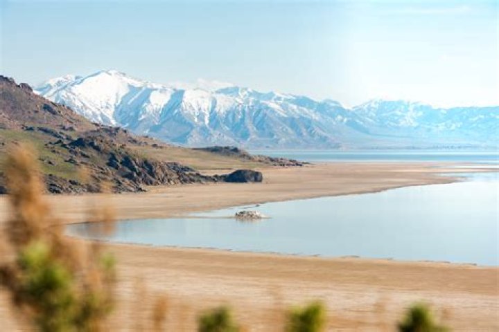 
What Happened With Megan Joyce Mohn Of Utah Great Salt Lake City? Story About Her Passing 
