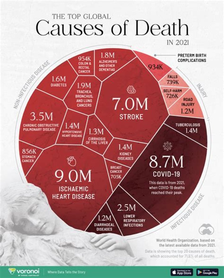 
What was Barbara Kremen Cause of Death? 