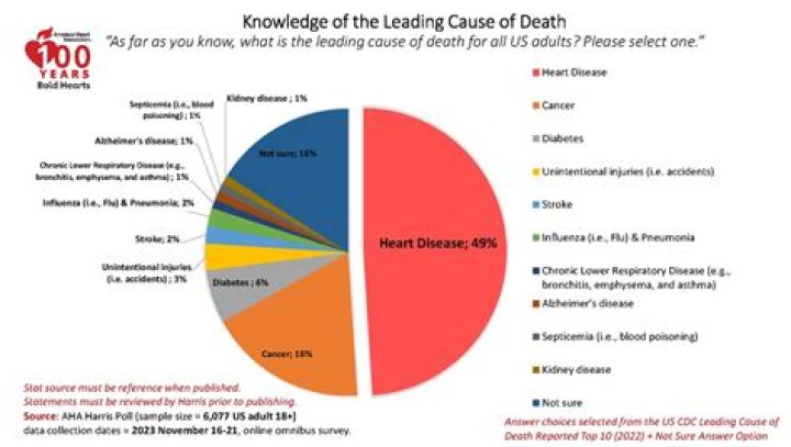 
What was Danny Schechter Cause of Death? 