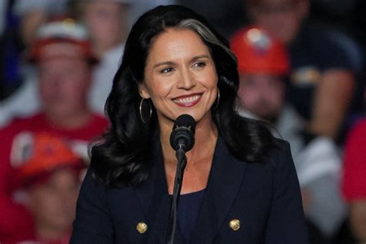 
Who Is Harry Kazianis From The National Interest And What Did He Say About Tulsi Gabbard? 